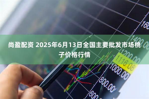 尚盈配资 2025年6月13日全国主要批发市场桃子价格行情