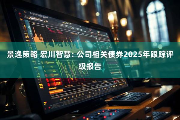 景逸策略 宏川智慧: 公司相关债券2025年跟踪评级报告