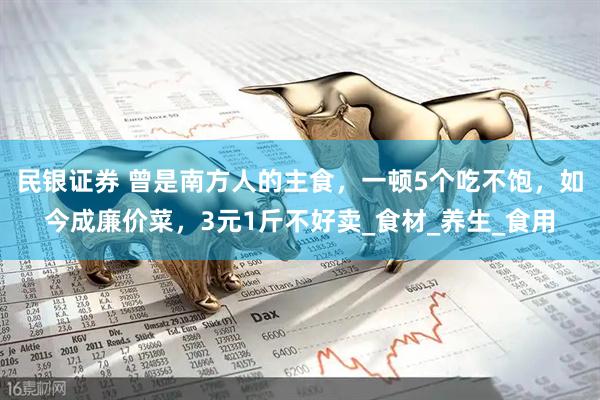 民银证券 曾是南方人的主食，一顿5个吃不饱，如今成廉价菜，3元1斤不好卖_食材_养生_食用