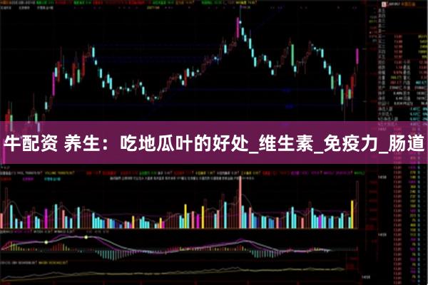 牛配资 养生：吃地瓜叶的好处_维生素_免疫力_肠道
