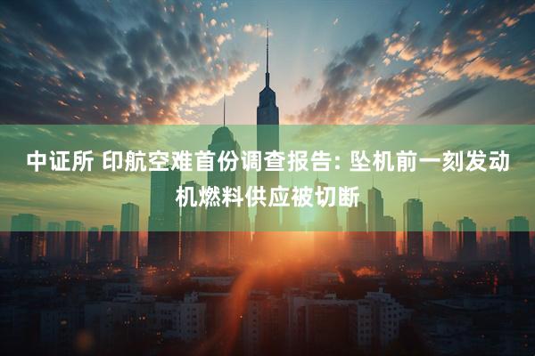 中证所 印航空难首份调查报告: 坠机前一刻发动机燃料供应被切断