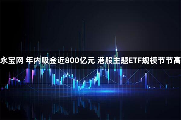 永宝网 年内吸金近800亿元 港股主题ETF规模节节高