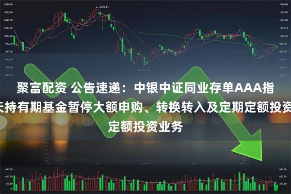 聚富配资 公告速递：中银中证同业存单AAA指数7天持有期基金暂停大额申购、转换转入及定期定额投资业务